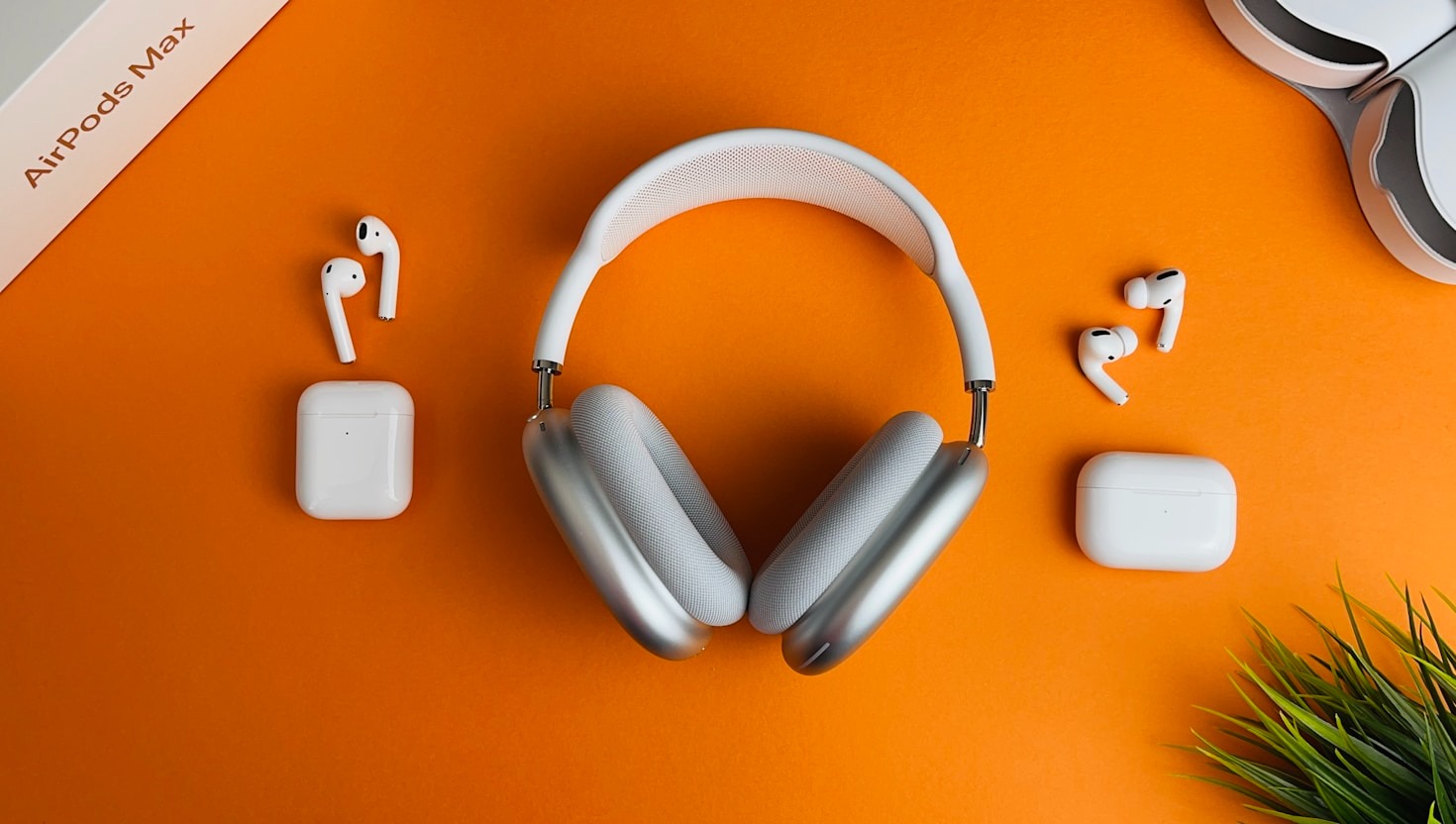 The Rise of Wearable Tech: What to Know